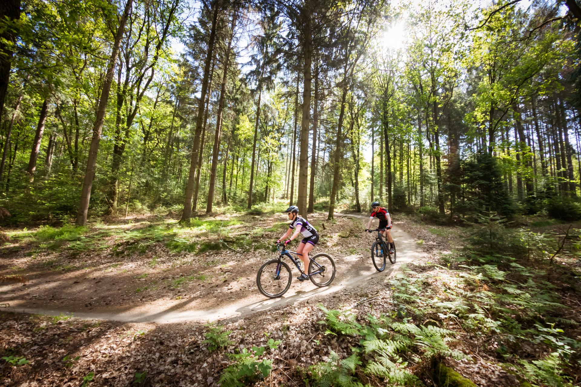 3 Day Mountainbike package